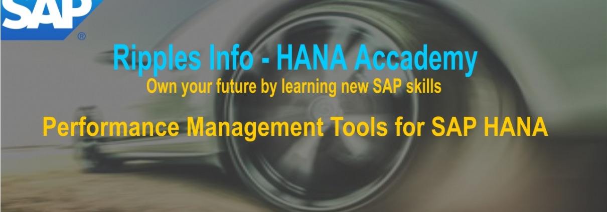 Performance Management Tools for SAP HANA