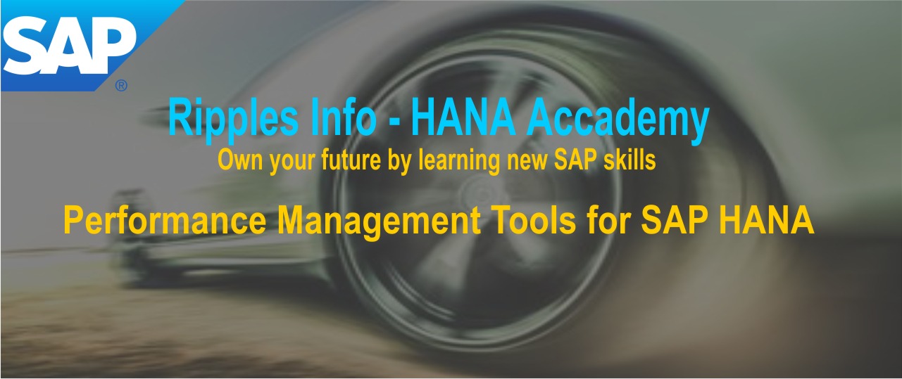 Performance Management Tools for SAP HANA