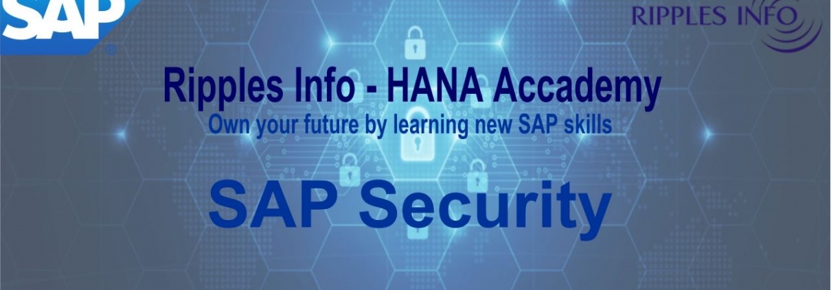 SAP Security