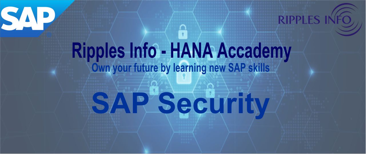 SAP Security